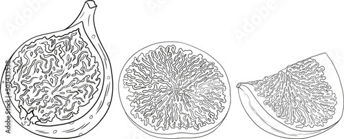 Vector figs. Fruit product for juice or jam label, packaging sticker, grocery shop tag, farm store and coloring pages. Fresh cartoon fig isolated on white background. 