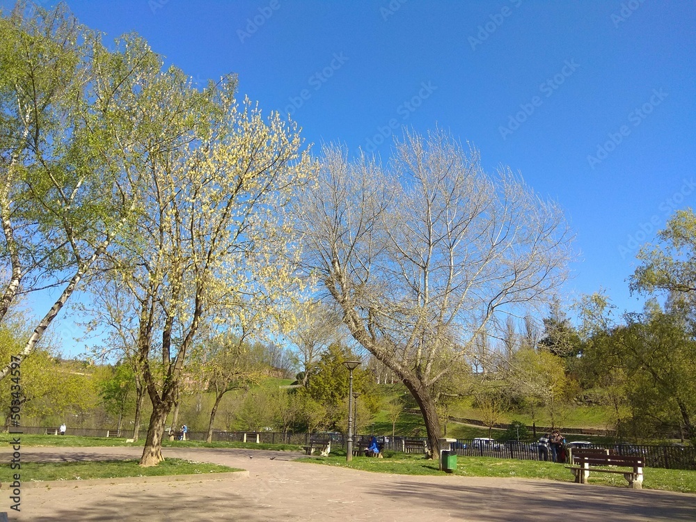 Basauri, el parque de los patos. Vizcaya. España.