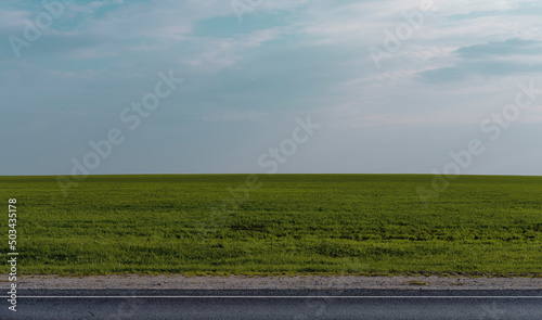 Asphalt Outdoor Road Among the Green Meadow Field. Side View. Straight Horizon Line. Blue Sky on Background.