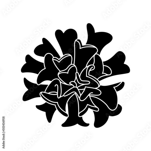 Succulent echeveria in simple style, vector illustration. Desert flower for print and design. Silhouette mexican plant, graphic isolated element on a white background. Houseplant for decor interior