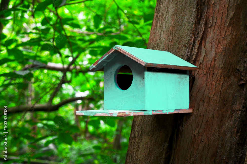 Colorful wooden birdhouse with a light green on the tree in the forest