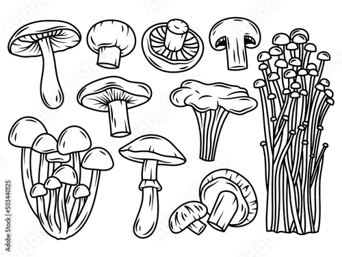 Set of edible mushrooms. Collection of porcini mushroom, shiitake and chanterelles. Vector illustration on white background. Linear Art. Tattoo.