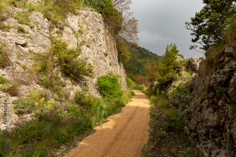 Turist's road based in Konavle region near Dubrovnik. The road along the slope of the mountain above the valley.