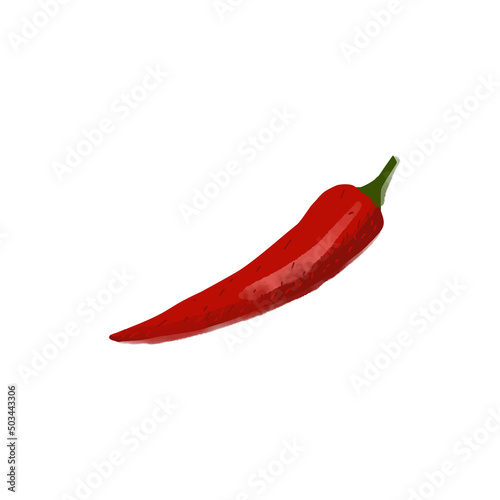 Red hot pepper illustration isolated on white background
