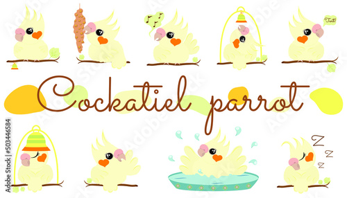 parrot set cute cockatiel life beautiful bird kids children illustration pet pets store veterinary eat swim happy pet pets stickers