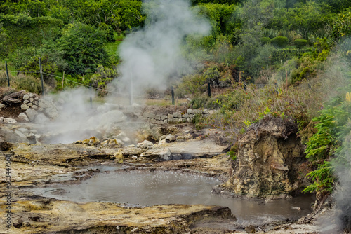 Active geyser fumaroles with sulfur smoke and boiling puddle in geothermal zone in Furnas  S  o Miguel - Azores PORTUGAL