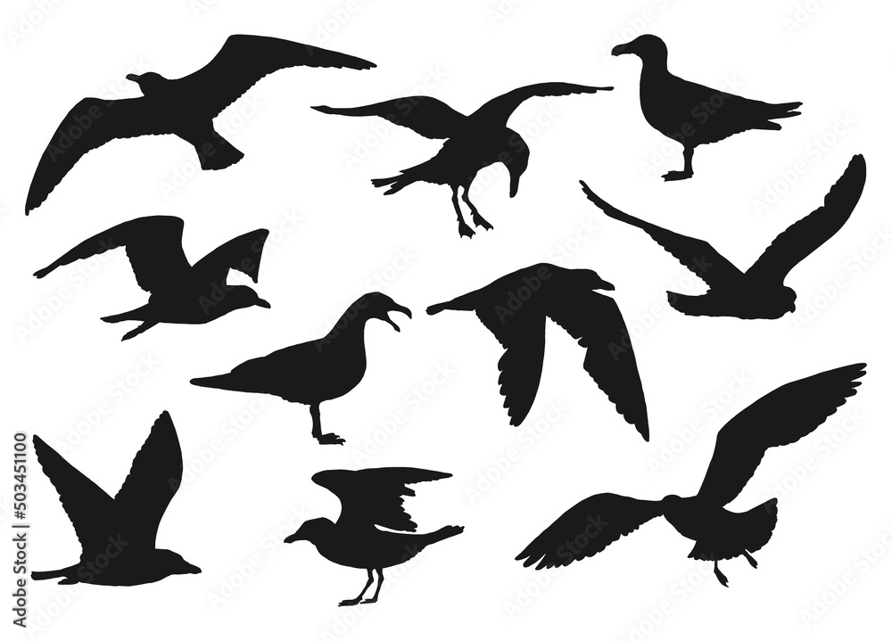 Set of silhouette of flying seagulls. Hand drawn illustration converted to vector. Set of silhouette of flying seagulls. Hand drawn illustration converted to vector.