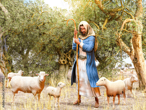 Photo Bible shepherd and his flock of sheep in an Olive Grove