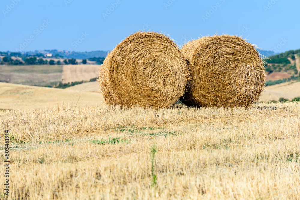 Agricoltura, campi e coltivazioni in Toscana, Val d'Orcia Agricoltura, campi e coltivazioni in Toscana, Val d'Orcia