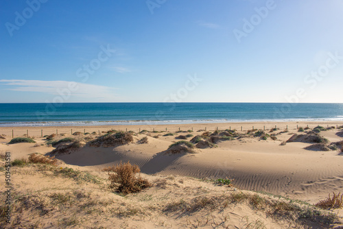 Vega Baja del Segura - Guardamar del Segura - Paisaje de dunas y vegetación junto al mar Mediterráneo photo