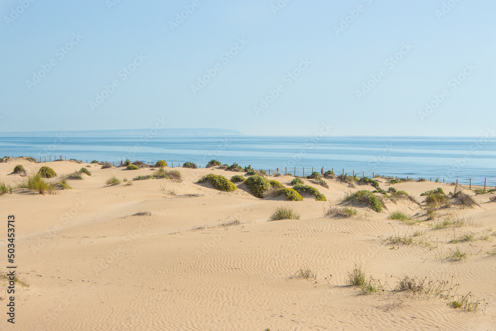 Vega Baja del Segura - Guardamar del Segura - Paisaje de dunas y vegetación junto al mar Mediterráneo