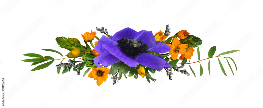 Blue anemome flower, orange ornithogalum and uecalyptus leaves in a floral arrangement isolated