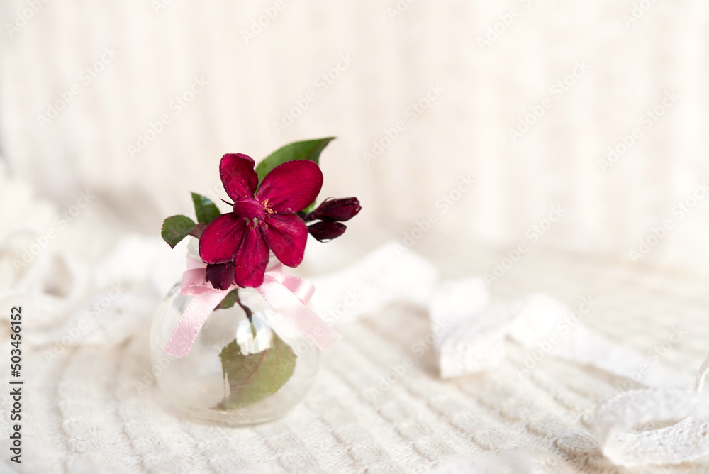 Glass vase with beautiful blooming rose branches. Light postcard background with bokeh.