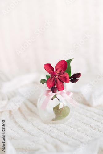 Glass vase with beautiful blooming rose branches. Light postcard background with bokeh.