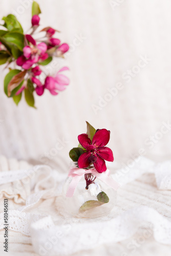 Glass vase with beautiful blooming rose branches. Light postcard background with bokeh.