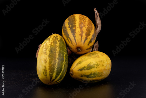 Vellery  Trichosanthes dioica, also known as pointed gourd, Vegetable, Orange and Green stripes, healthy food, isolated in black background, 3 pieces, studio lighting photo