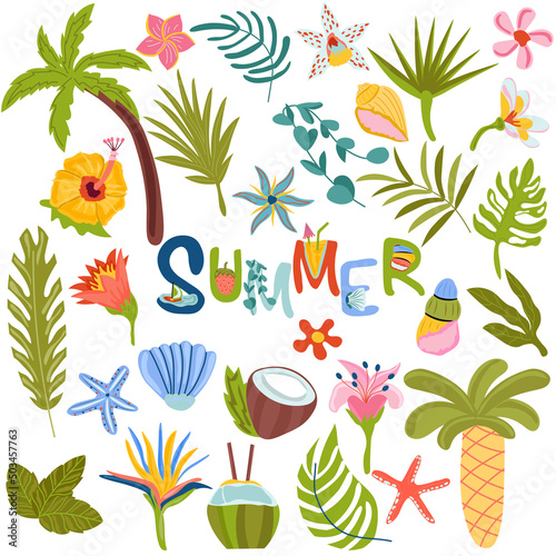 Set of Summer elements tropical leaves, palm, exotic fruits, shell, cooling cocktails, and other. Summer lettering. Vector illustration.