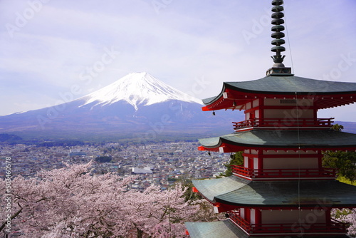 新倉山浅間公園の忠霊塔と満開の桜と富士山
