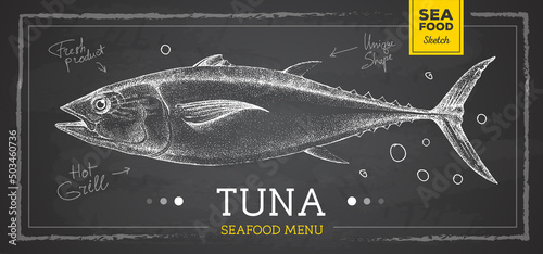 Realistic chalk drawing tuna fish vector illustration. Seafood menu design