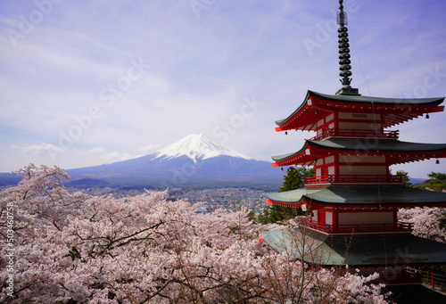 新倉山浅間公園の忠霊塔と満開の桜と富士山