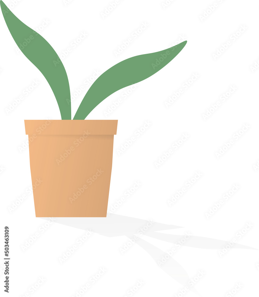 homeplant