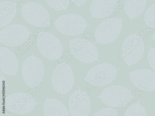 Beautiful background of leaves vector illustration.