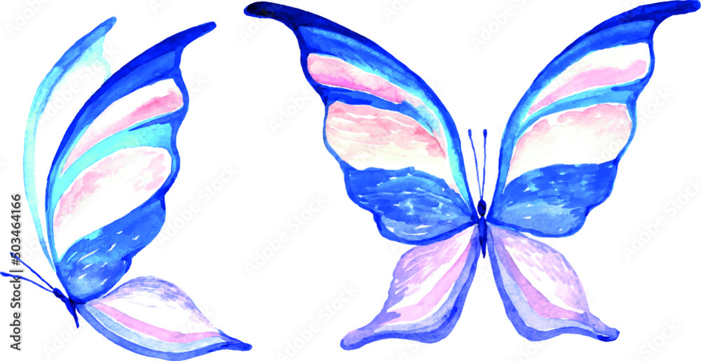 Hand drawn striped watercolor butterfly with pink wings. Hand drawn illustration. Suitable for business cards, invitations and design