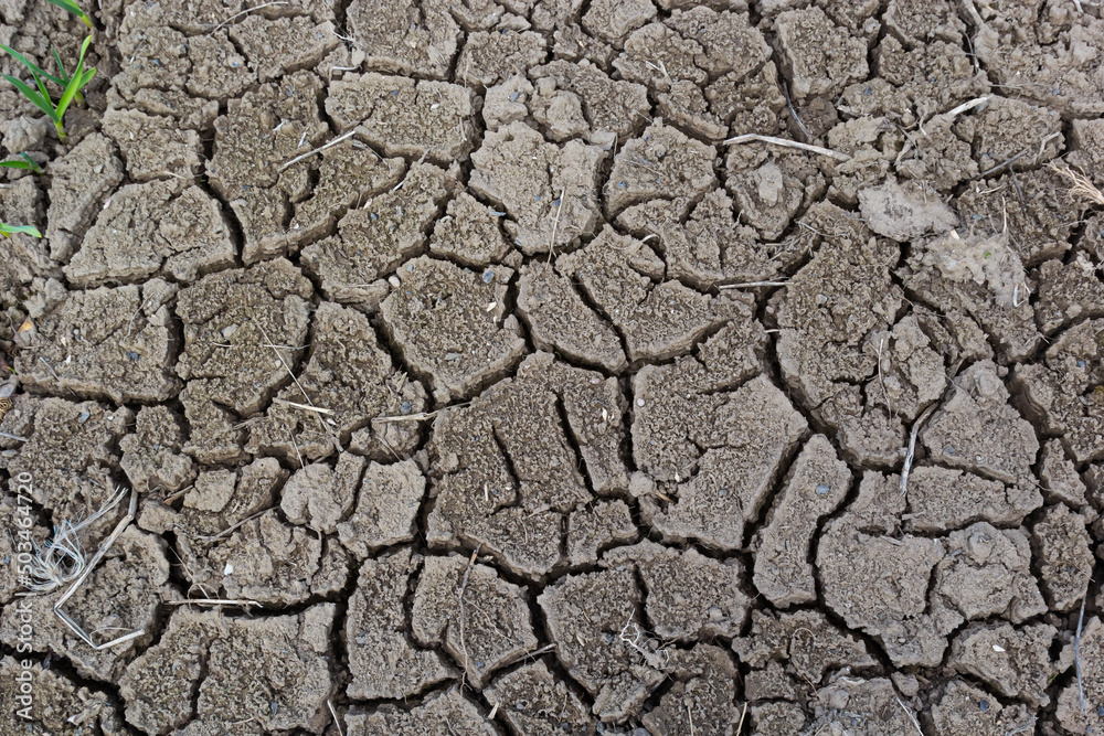 The cracked ground, Ground in drought, Soil texture and dry mud, Dry land The cracked ground, Ground in drought, Soil texture and dry mud, Dry land