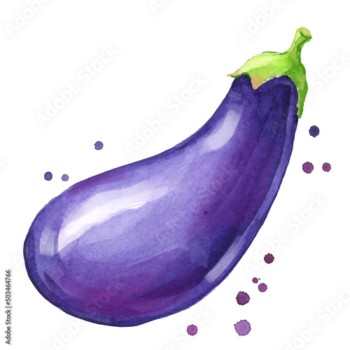 Fresh eggplant watercolor painting hand painted