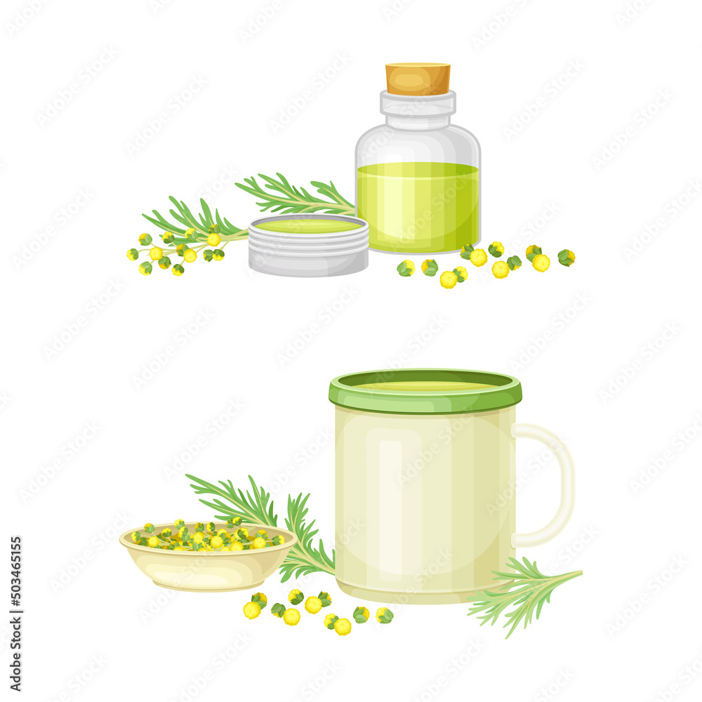 Mug of herbal tea and wormwood tincture set. Artemisia mongolica, flowering herbaceous medicinal plant vector illustration