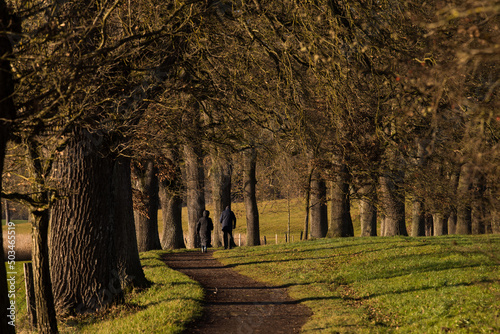 Ebersberg, Germany-March 10,2022 : Promenade along the Egglburger see (lake) along an alley of oaks in winter, a destination near Ebersberg, Upper Bavaria. photo