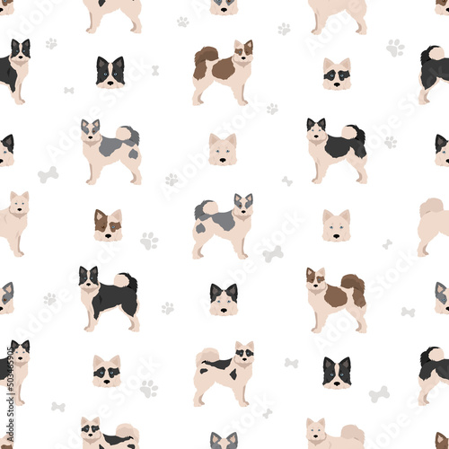 Yakutian Laika seamless pattern. Different poses, coat colors set