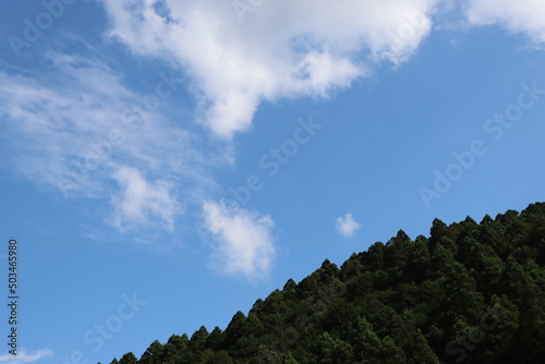 青空と緑ある大自然