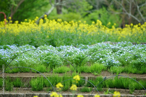 April showers bring May flowers