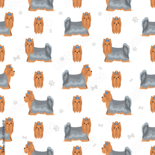 Yorkshire Terrier seamless pattern. Different poses, coat colors set