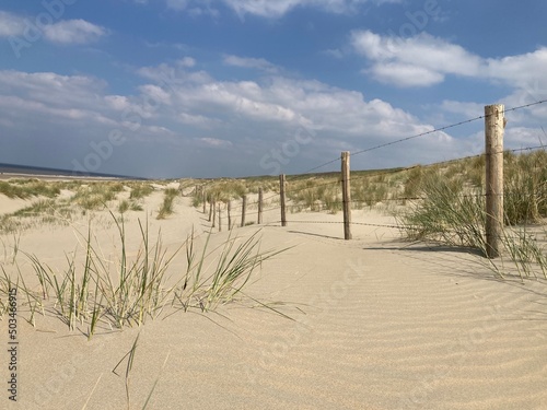 Sanddünen mit Zaun am Strand von Noordwijk 