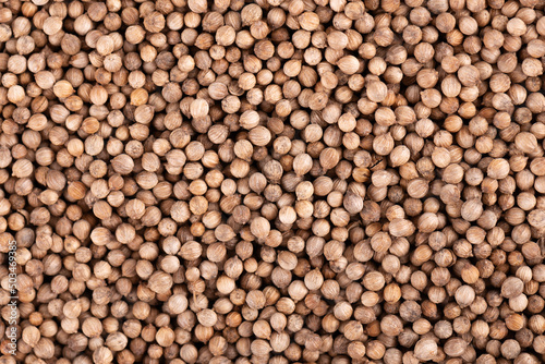 Coriander seeds background. Cilantro grain. Organic spice. Top view.