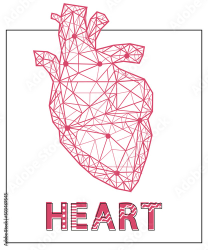 Polygonal human heart made of red lines and dots. Medical research of internal organs, innovative approach concept. Organ of human cardiovascular system. Modern depiction of blood pumping organ.