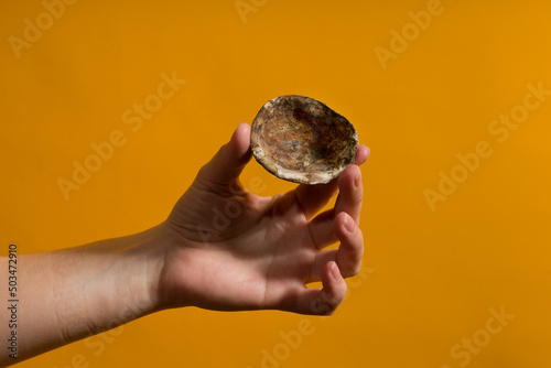 a female hand holds a spoiled avocado skin with mold on a colored background