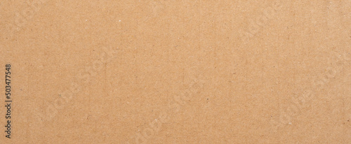 Panorama of brown paper box texture and background with copyspace © tortoon