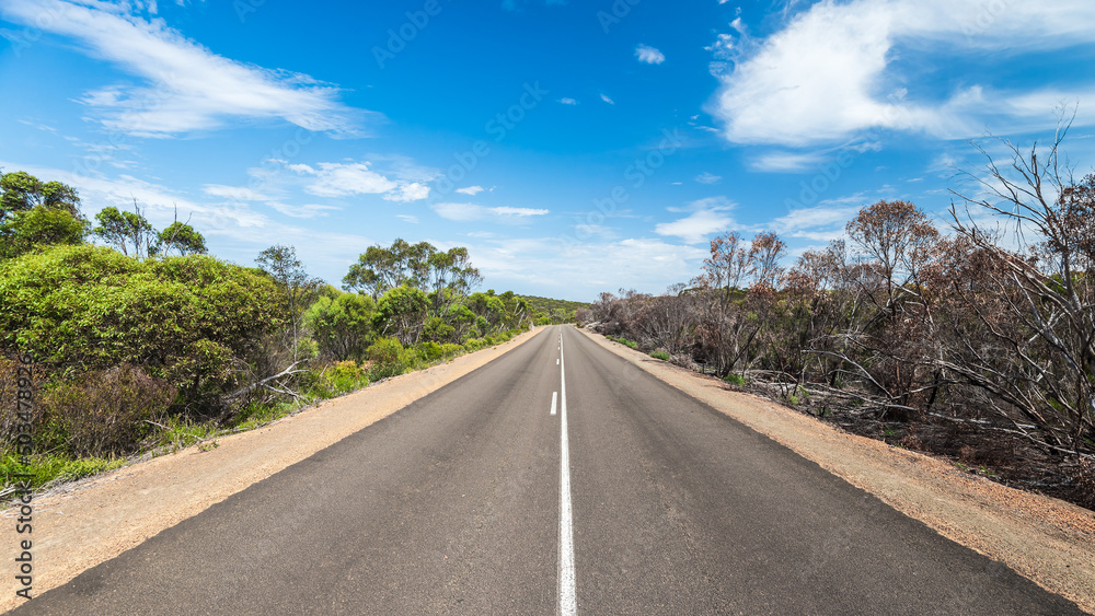 Kangaroo Island road after bushfire, South Australia