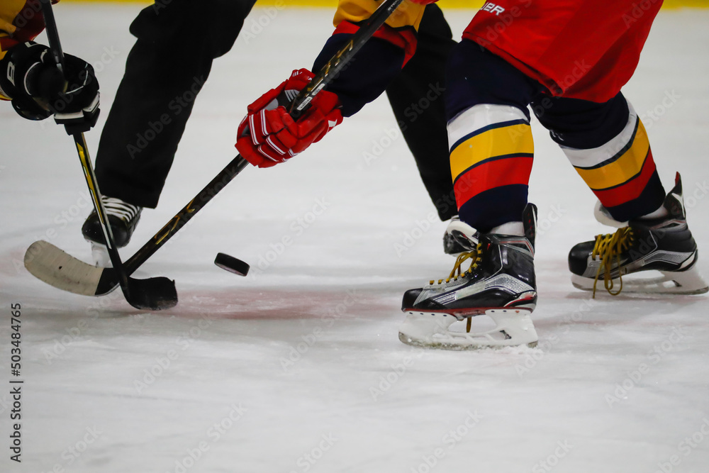Obraz premium アイスホッケーの試合