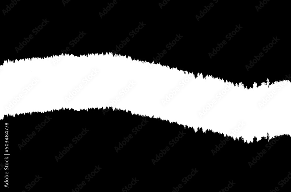 Silhouette of the forest. Beautiful spruce (fir) trees on the hill. Forest background. Vector illustration mirrored Silhouette of the forest. Beautiful spruce (fir) trees on the hill. Forest background. Vector illustration mirrored