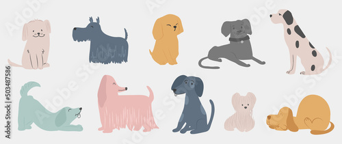 Set of cute dogs vector. Lovely dog and friendly puppy abstract doodle pattern in different poses and breeds with flat color. Adorable funny pet characters hand drawn collection on white background.