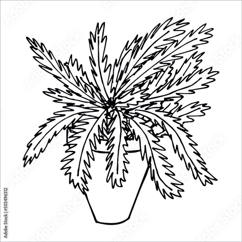 Сute hand drawn houseplant in a pot clipart. Plant illustration. Cozy home doodle.