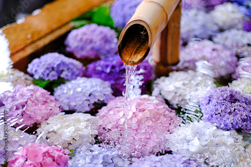 紫陽花の花手水