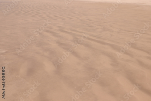 Wet sand background. Sand texture
