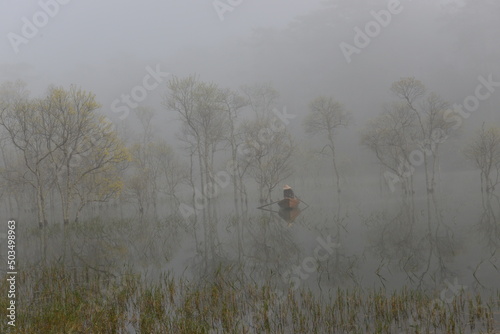 person walking in the forest