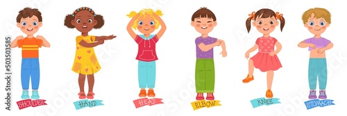 Children pointing body parts. Little boys or girls show hand, leg and tummy. Cartoon kids characters demonstrate heads and stomachs. Educational anatomy. Vector learning vocabulary set
