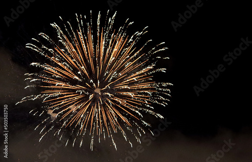 Fireworks splashes in the sky. Pyrotechnics firework close up photo. Ecology conversation concept. 